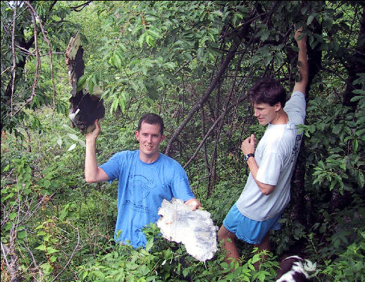 Airplane Crash Parts, Moose Mountain, New Hampshire