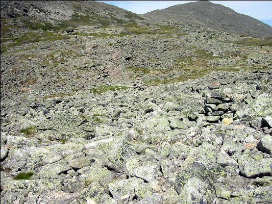 Trail to Madison Hut, White Mountains, AT, New Hampshire