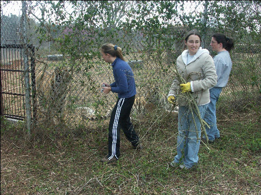 PICT9025 Friends Tiger Carnivore Preservation Trust 