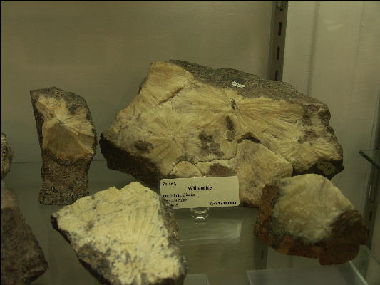 PICT0748 Willemite Franklin Mineral Museum New Jersey