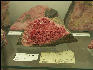 PICT0752 Rhodonite With Barite Franklin Mineral Museum New Jersey