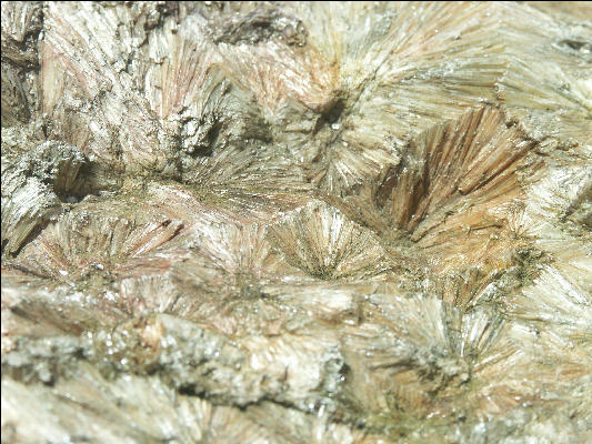 Pict4887 Pyrophyllite Closeup Occoneechee Mountain Hillsborough NC