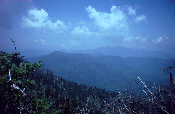 View, Great Smokies, AT
