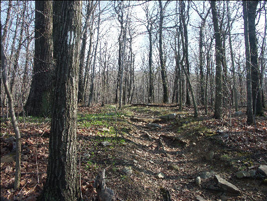 PICT0362 Appalachian Trail Near Bethlehem Pennsylvania