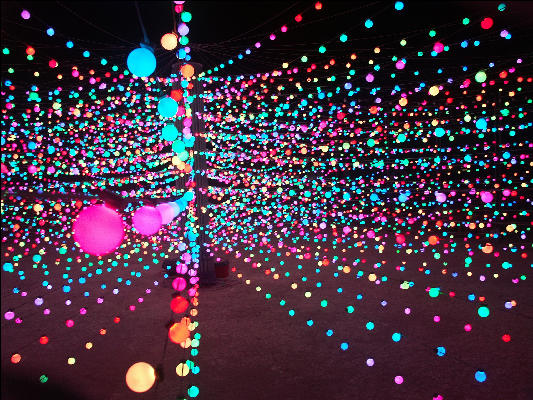 PICT8555 Night Art Burning Man Black Rock City Nevada