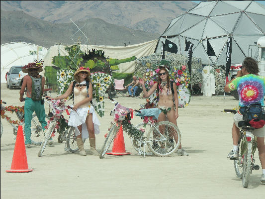Pict8859 Costumes Burning Man Black Rock City Nevada