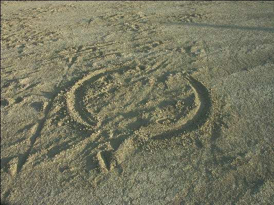 Pict9369 Dust Angel Burning Man Black Rock City Nevada