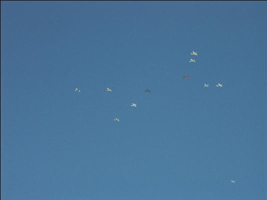 Pict9593 Planes In Formation Burning Man Black Rock City Nevada