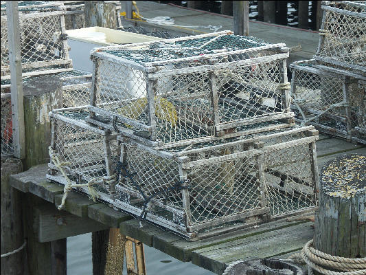 PICT5746 Lobster Traps Provincetown Cape Cod 