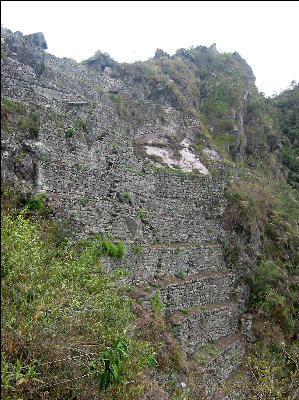 Steep Terraces, North side