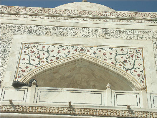 Pict3944 Taj Mahal Pietra Dura Agra