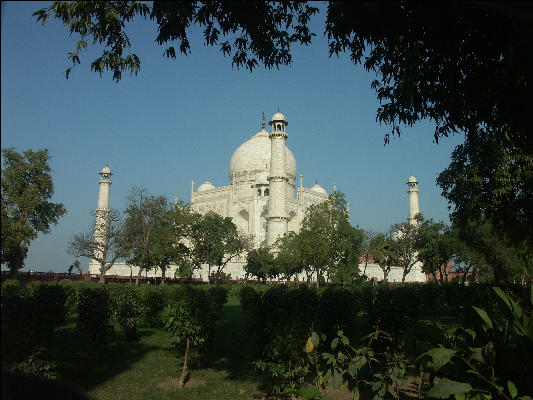 Pict4083 Taj Mahal Through Trees Agra
