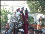 Pict1438 Wedding Parade Elephant Ahmedabad Amdavad