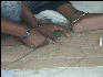 Pict1466 Hands Stitching Ahmedabad Amdavad
