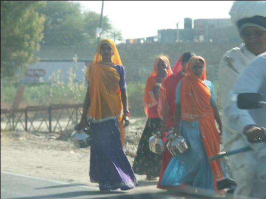 Pict2484 Sari West Of Pushkar