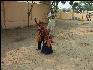 Pict3587 Children Dancing Near Keoladeo Ghana NP