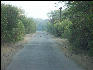 Pict3633 Road In Keoladeo Ghana NP