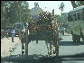 Pict0812 Cart South Of Mysore