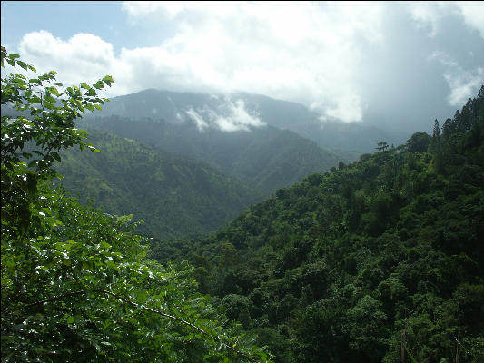 Pict6276 View From Mavis Bank Blue Mountains Jamaica 