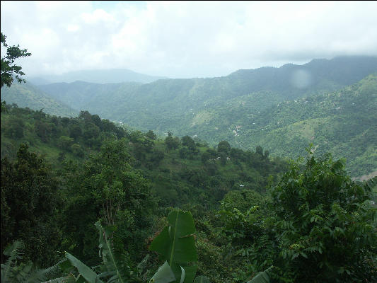 Pict6412 River Valley Blue Mountains Jamaica 
