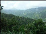 Pict6412 River Valley Blue Mountains Jamaica 