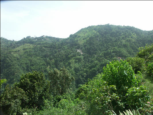 Pict6736 Mountain Side Houses Guava Ridge Jamaica
