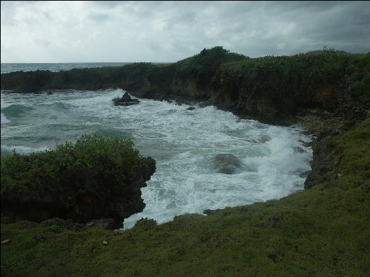Pict8821 Shoreline Long Bay Jamaica