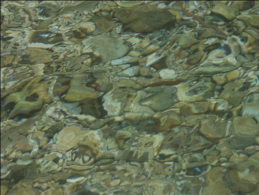 Pict8870 Rocky Bottom Abstract Reach Falls Manchioneal Jamaica