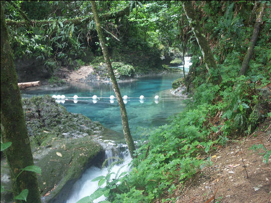 Pict8873 Above The Falls Reach Falls Jamaica