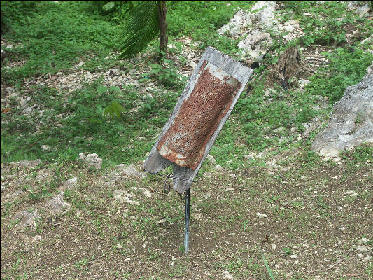 Pict8041 Coconut Grater Roaring River Jamaica 