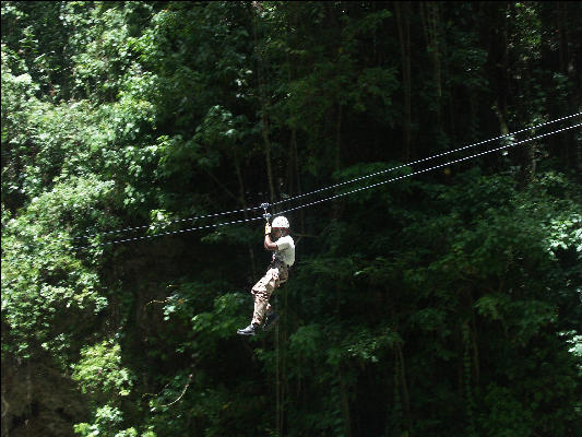 Pict7222 Canopy Touring Ys Falls Jamaica
