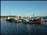 Pict1020 Fishing Fleet Newport Oregon