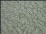 Pict1128 Patterns In Sand Newport Oregon