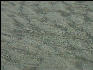Pict1133 Patterns In Sand Newport Oregon