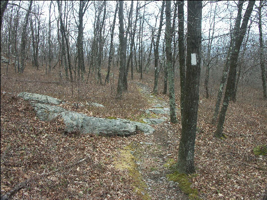 PICT0736 Appalachian Trail High Point Monument New Jersey
