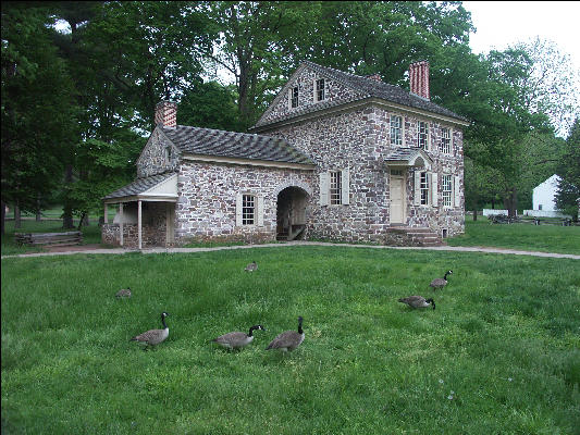 Pict4784 Geese And Washingtons Headquarters Valley Forge Pennsylvania
