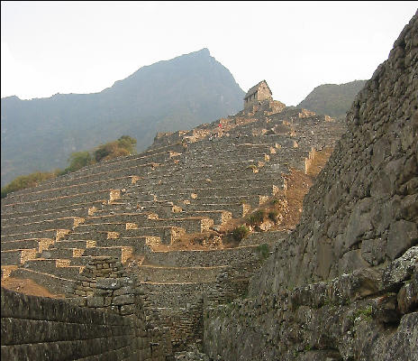Agricultural Sector Machu Picchu